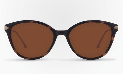 Lentes de Sol Karun PUMA Havana