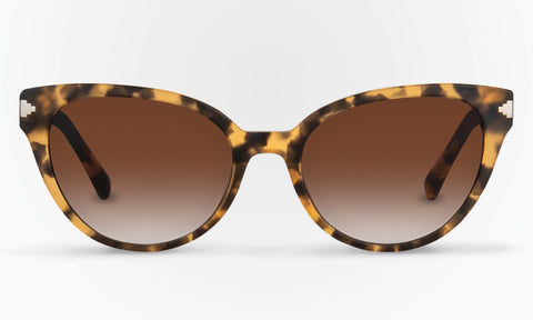 Lentes de Sol Karun NUCO Havana