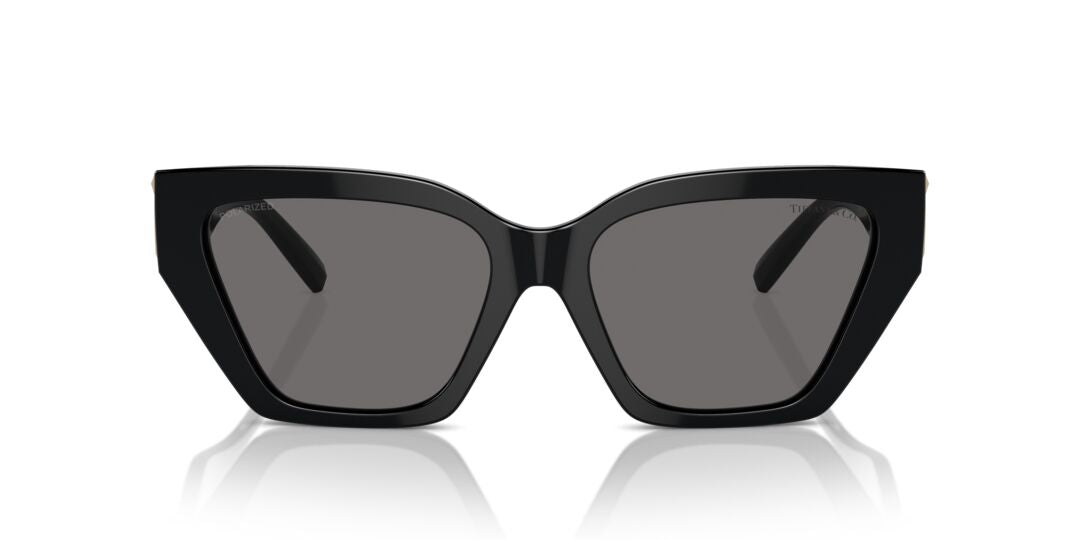 Lentes de Sol Tiffany TF4218 Negro