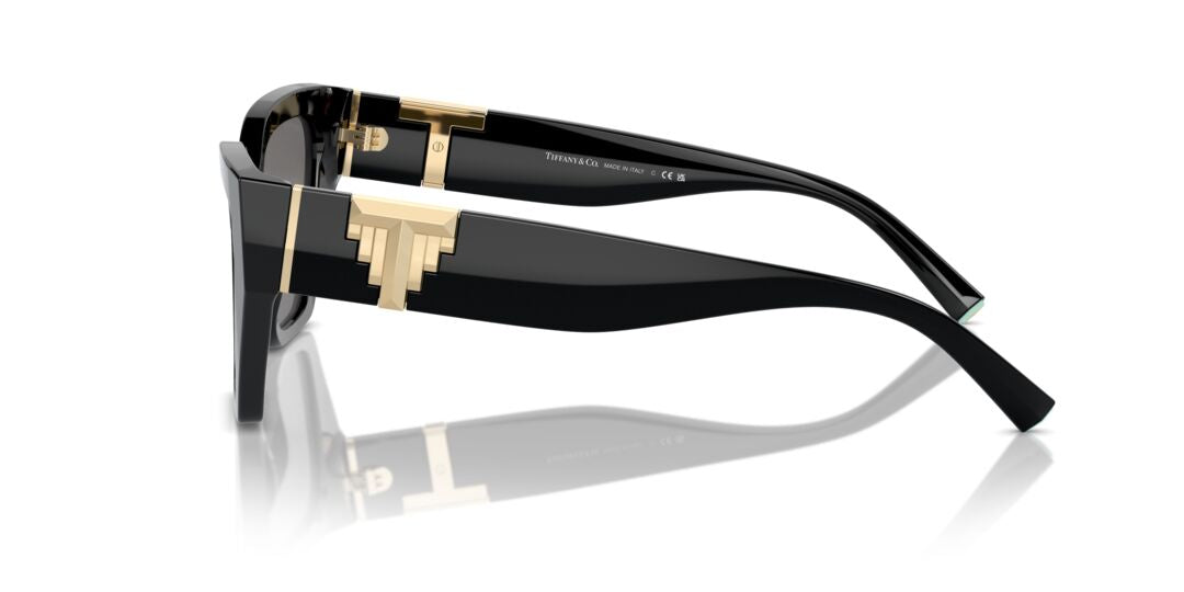 Lentes de Sol Tiffany TF4218 Negro