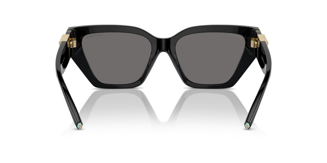 Lentes de Sol Tiffany TF4218 Negro