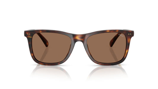Lentes de Sol Polo Ralph PH4220U Havana