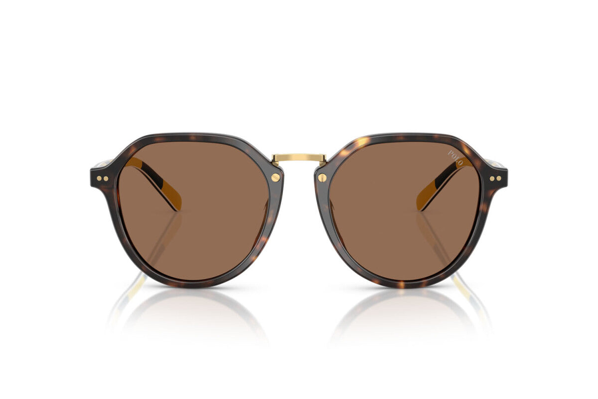 Lentes de Sol Polo Ralph PH4223U Havana