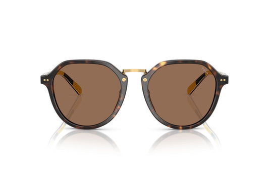 Lentes de Sol Polo Ralph PH4223U Havana