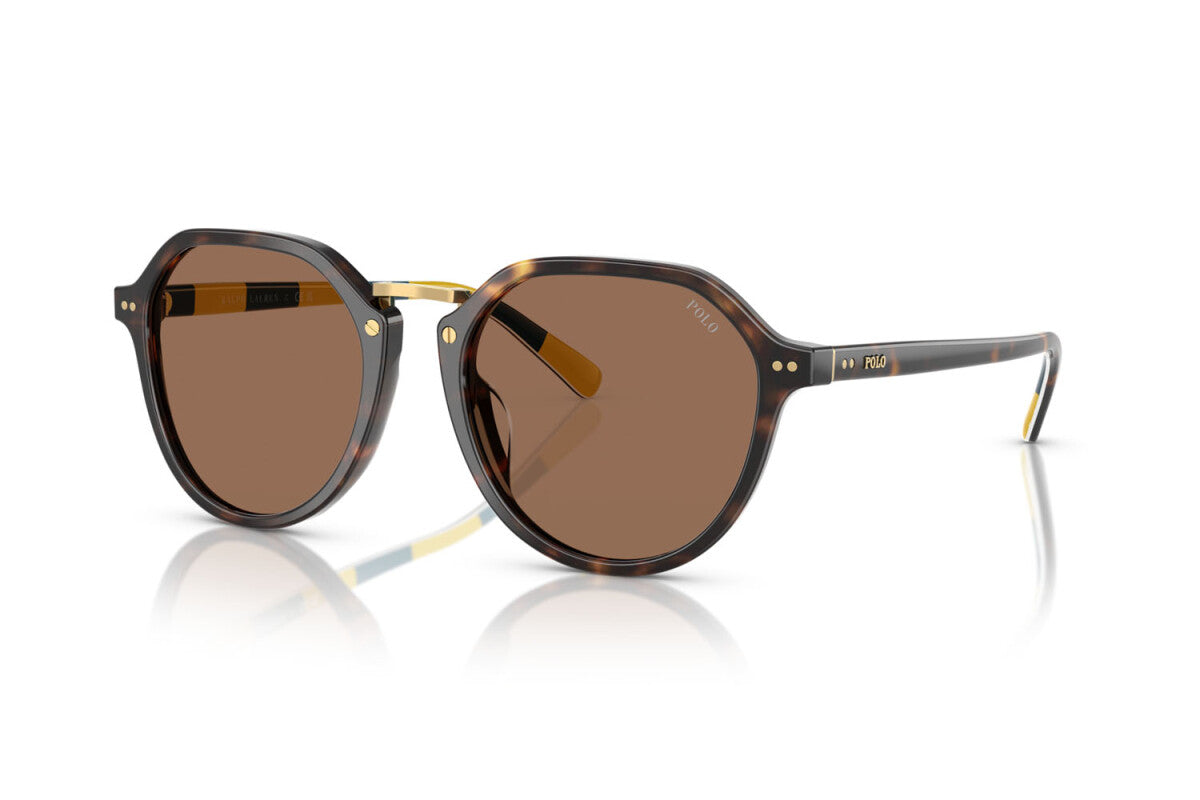Lentes de Sol Polo Ralph PH4223U Havana