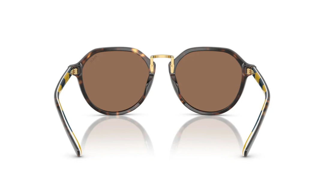 Lentes de Sol Polo Ralph PH4223U Havana