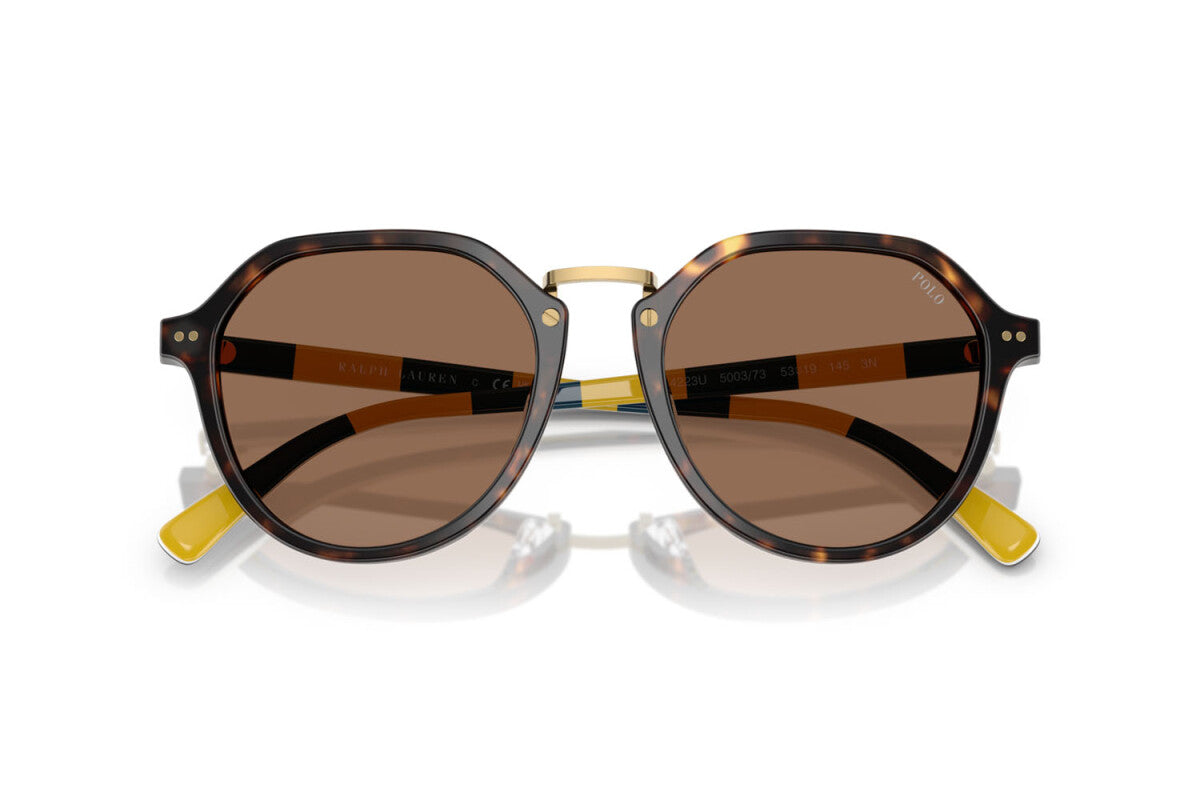 Lentes de Sol Polo Ralph PH4223U Havana