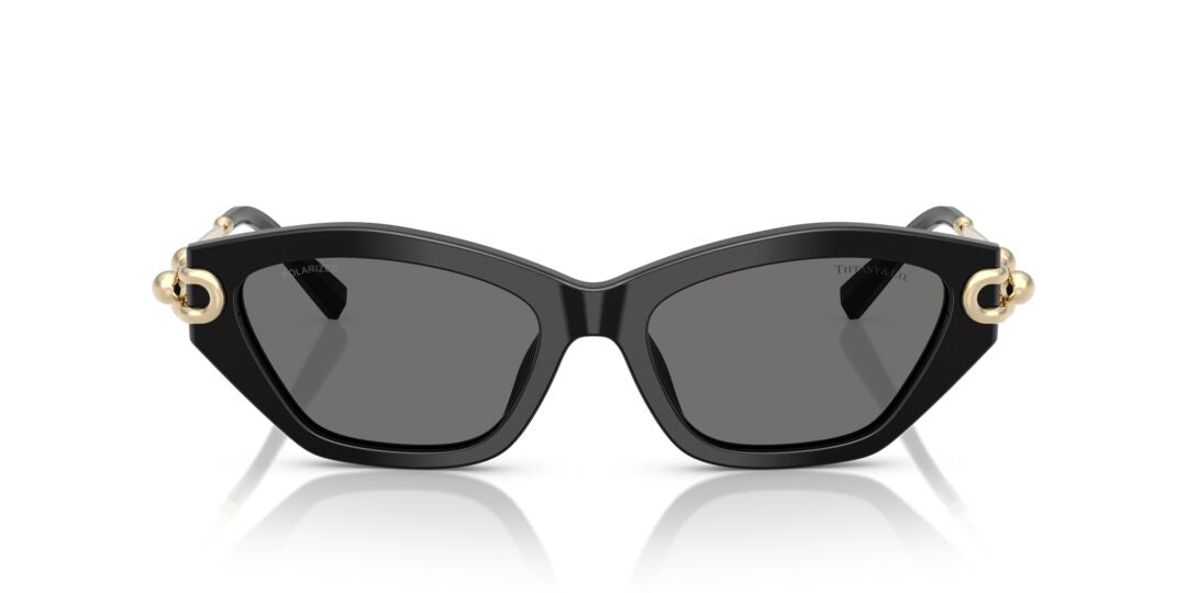 Lentes de Sol Tiffany TF4231U Negro