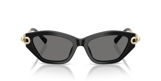 Lentes de Sol Tiffany TF4231U Negro