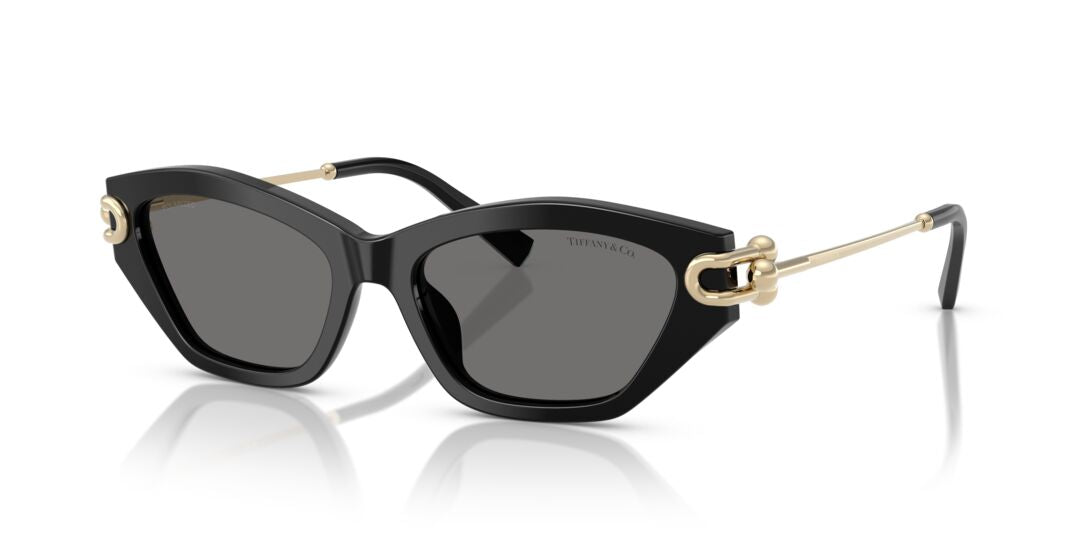 Lentes de Sol Tiffany TF4231U Negro