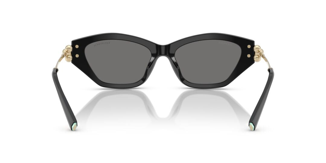 Lentes de Sol Tiffany TF4231U Negro