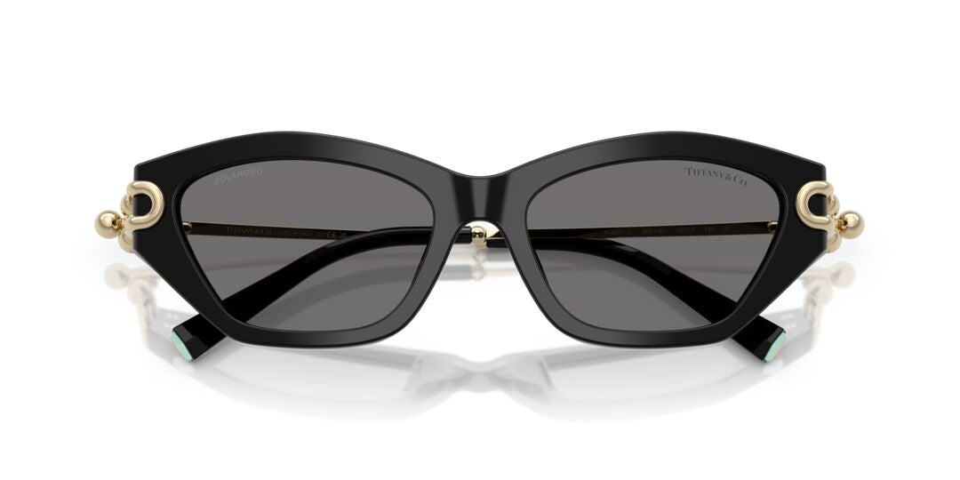 Lentes de Sol Tiffany TF4231U Negro