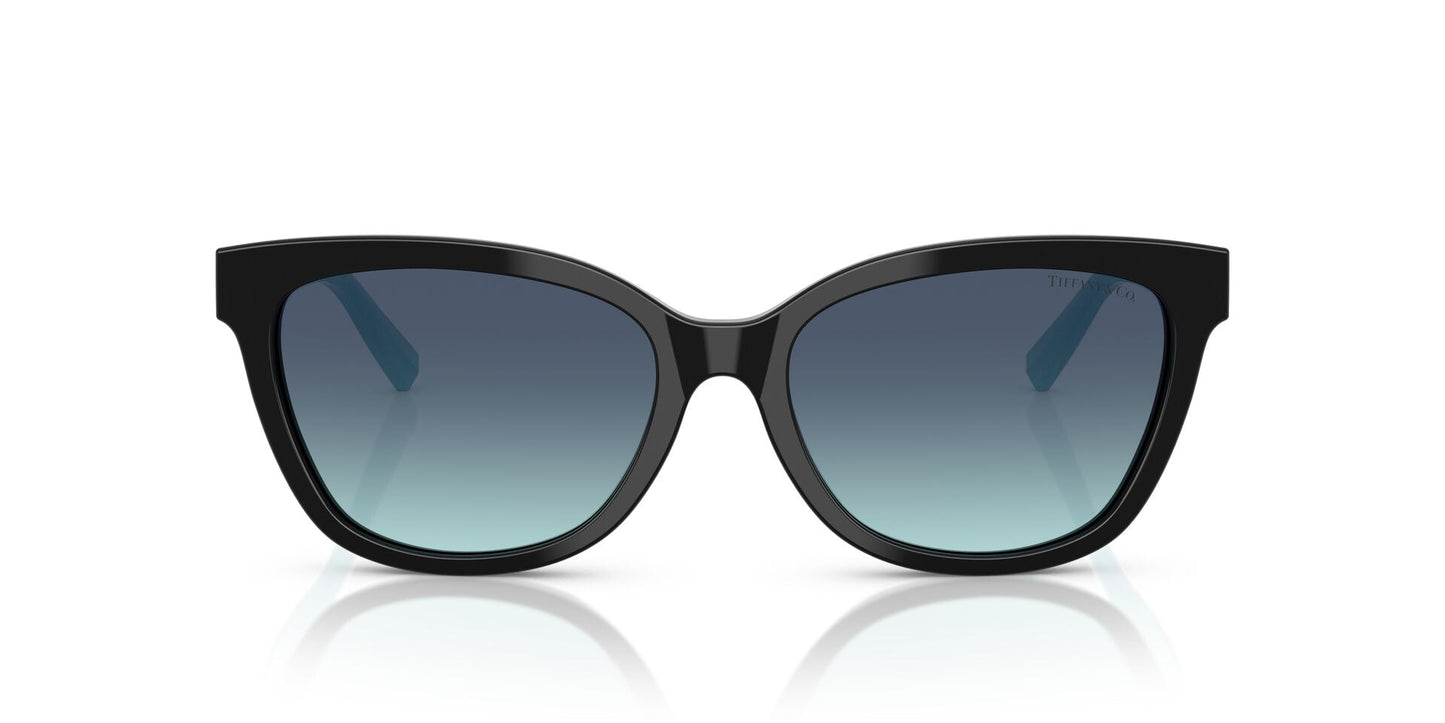 Lentes de Sol Tiffany TF4237B Negro