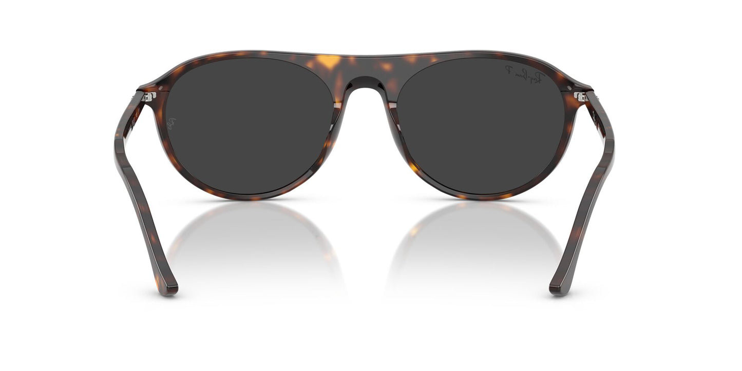 Lentes de Sol Ray Ban RB2215 Havana