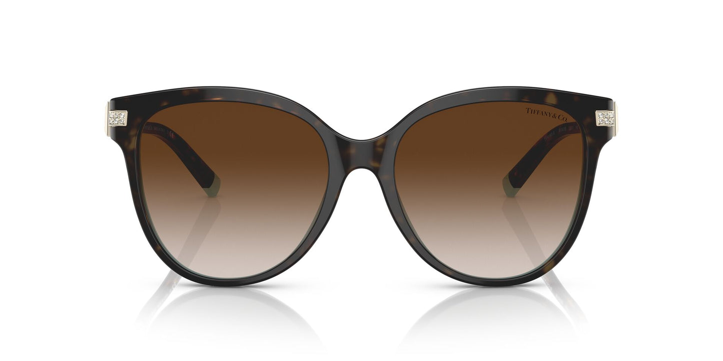 Lentes de Sol Tiffany TF4193B Havana