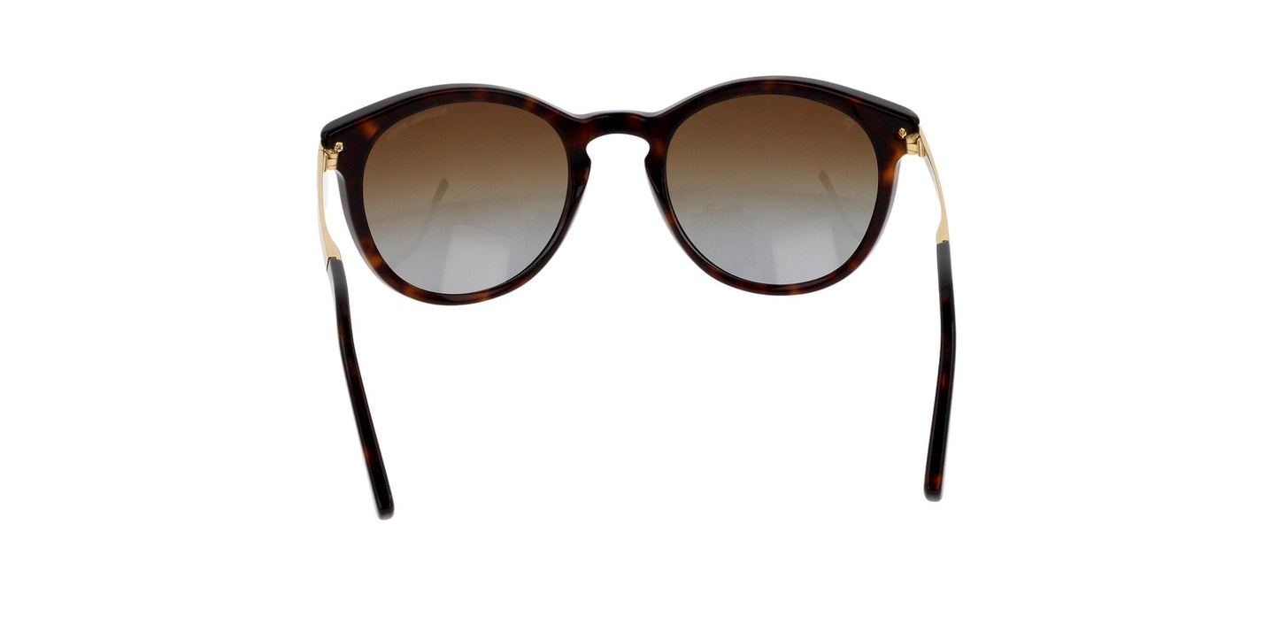 Lentes de Sol Michael Kors MK2023 Havana-Ópticas LUX, Ve Más Allá