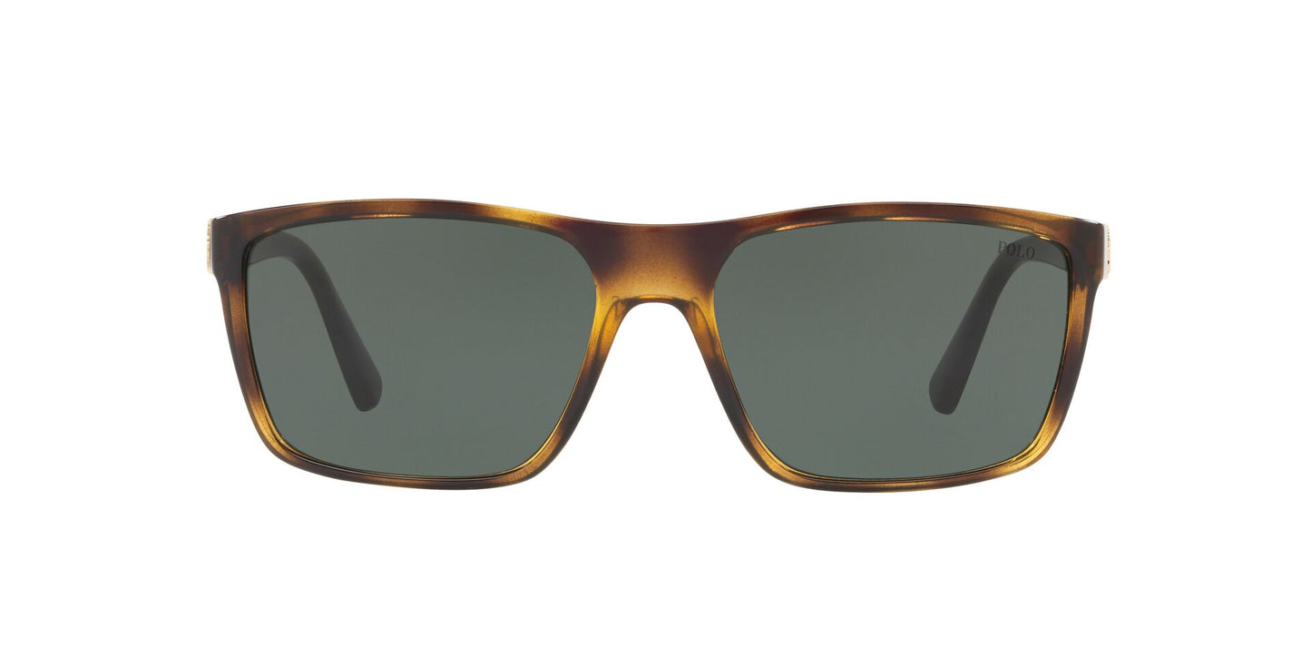 Lente Solar Polo Ralph PH4133 Havana-Ópticas LUX, Ve Más Allá