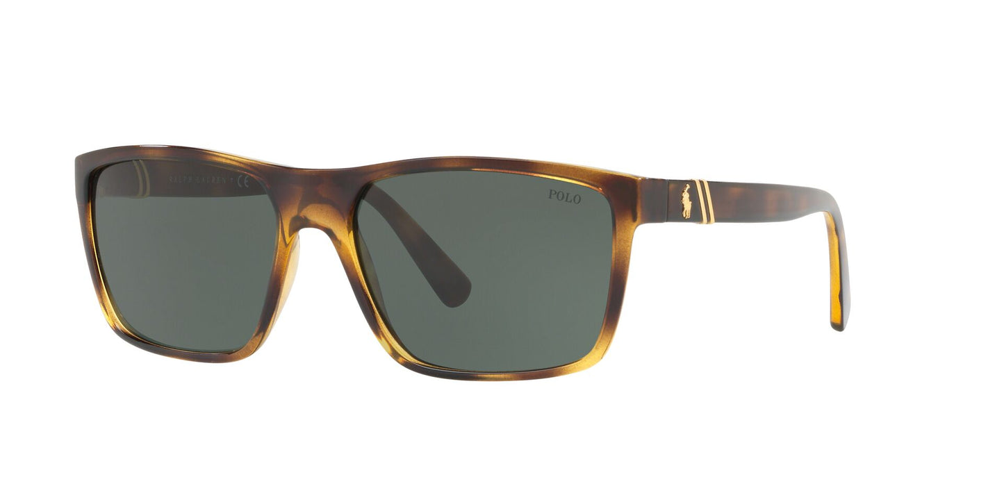 Lente Solar Polo Ralph PH4133 Havana-Ópticas LUX, Ve Más Allá