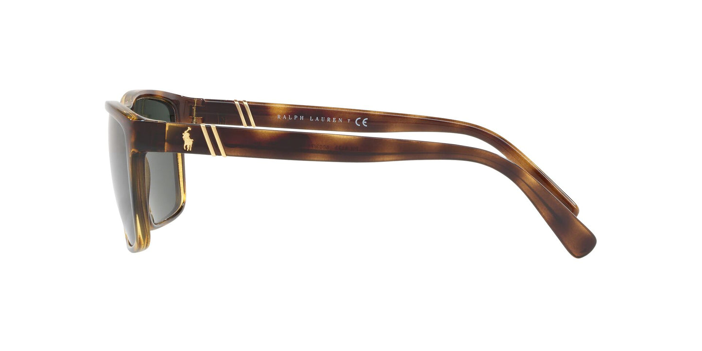 Lente Solar Polo Ralph PH4133 Havana-Ópticas LUX, Ve Más Allá