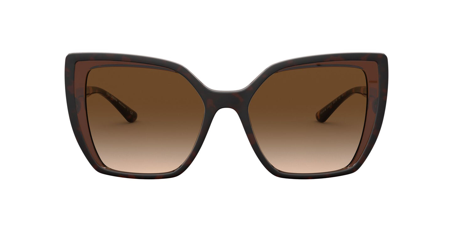 Lentes de Sol Dolce Gabbana DG6138 Havana-Ópticas LUX, Ve Más Allá