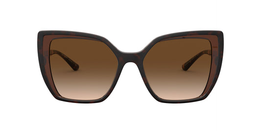 Lentes de Sol Dolce Gabbana DG6138 Havana-Ópticas LUX, Ve Más Allá