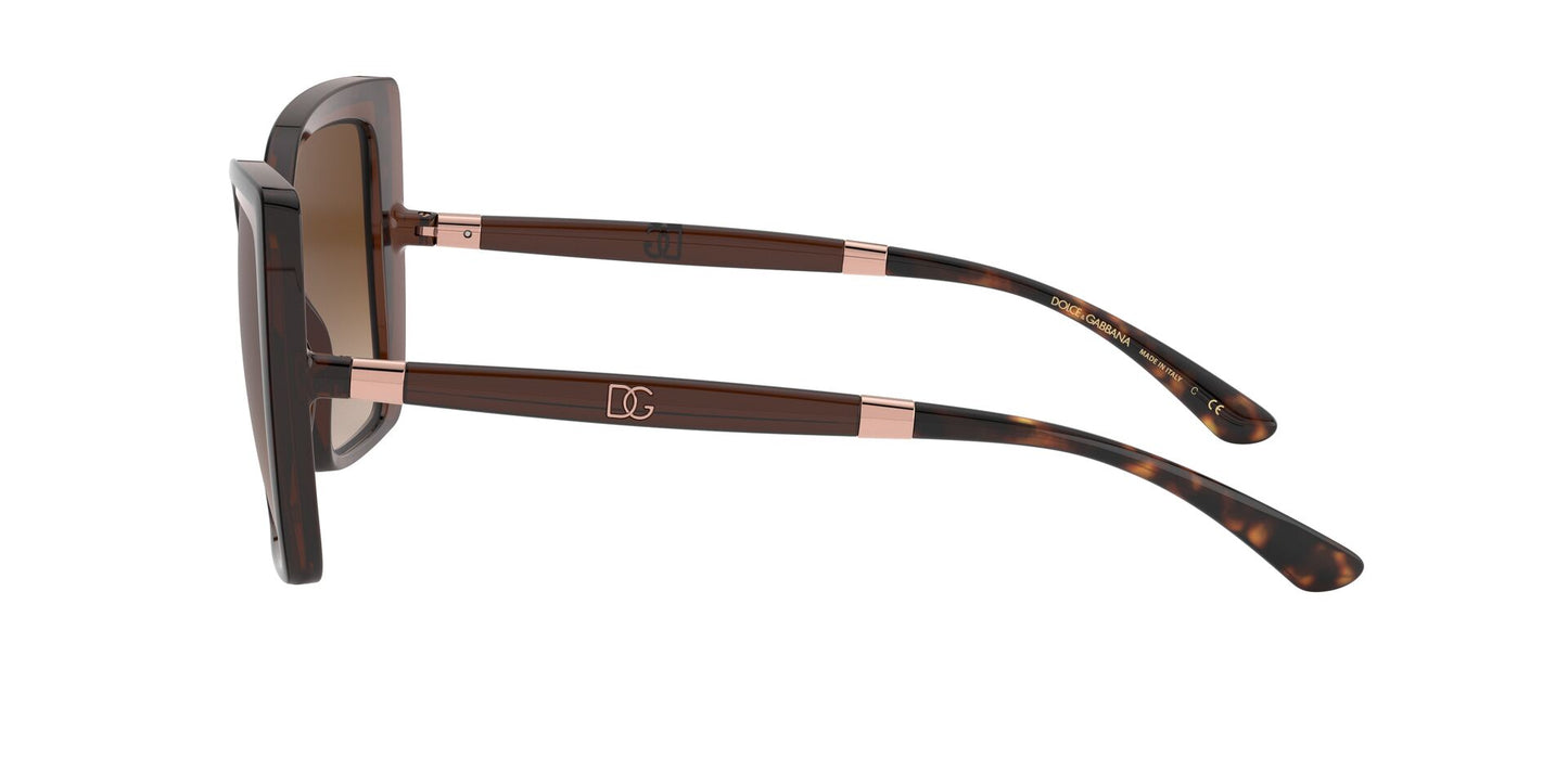 Lentes de Sol Dolce Gabbana DG6138 Havana-Ópticas LUX, Ve Más Allá