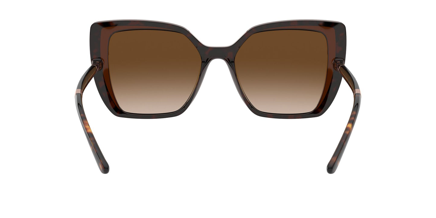 Lentes de Sol Dolce Gabbana DG6138 Havana-Ópticas LUX, Ve Más Allá