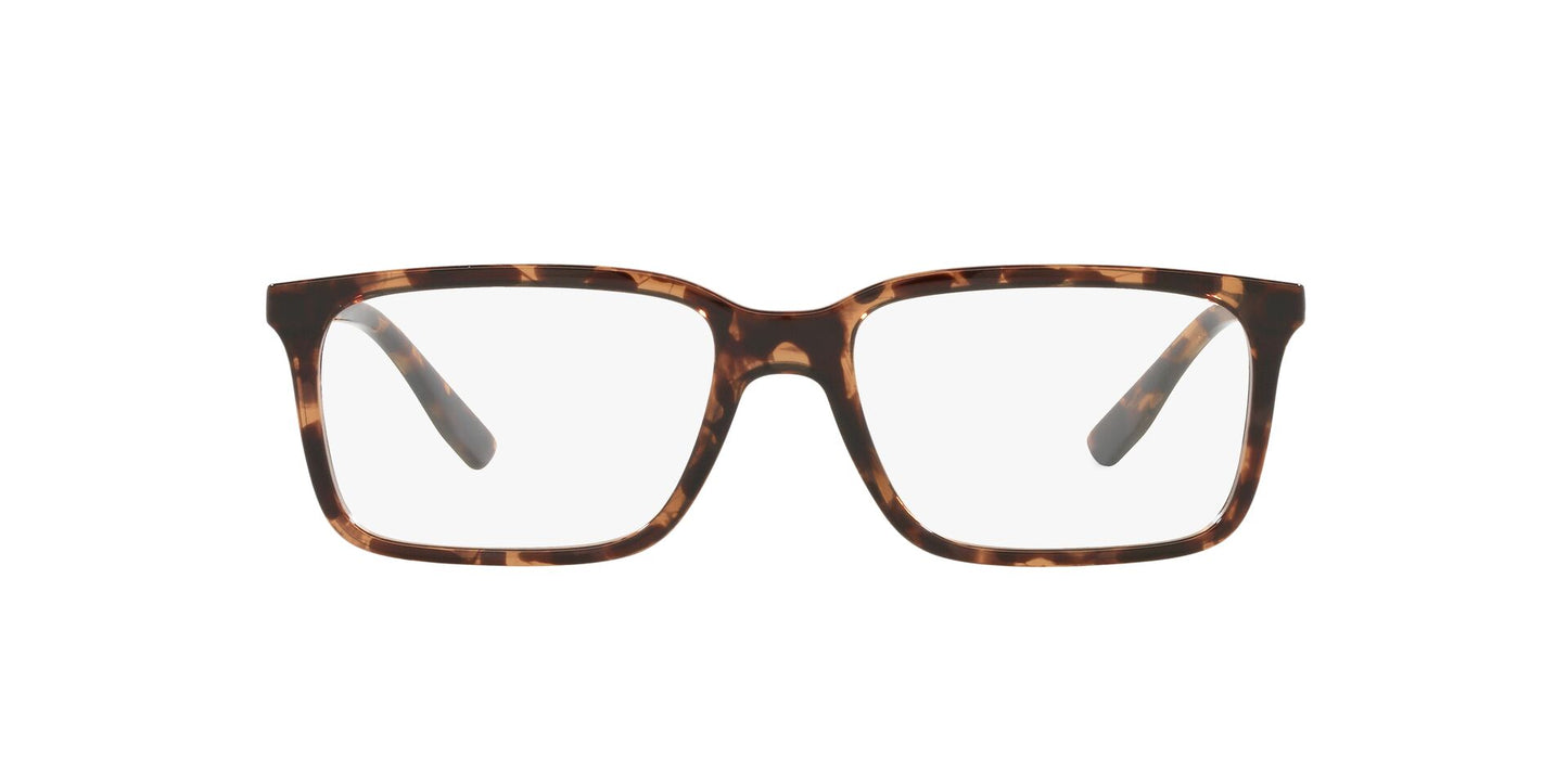 Lente Oftálmico Chaps CP3056 Havana-Ópticas LUX, Ve Más Allá