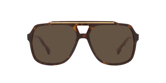 Lentes de Sol Dolce Gabbana DG4388 Havana-Ópticas LUX, Ve Más Allá