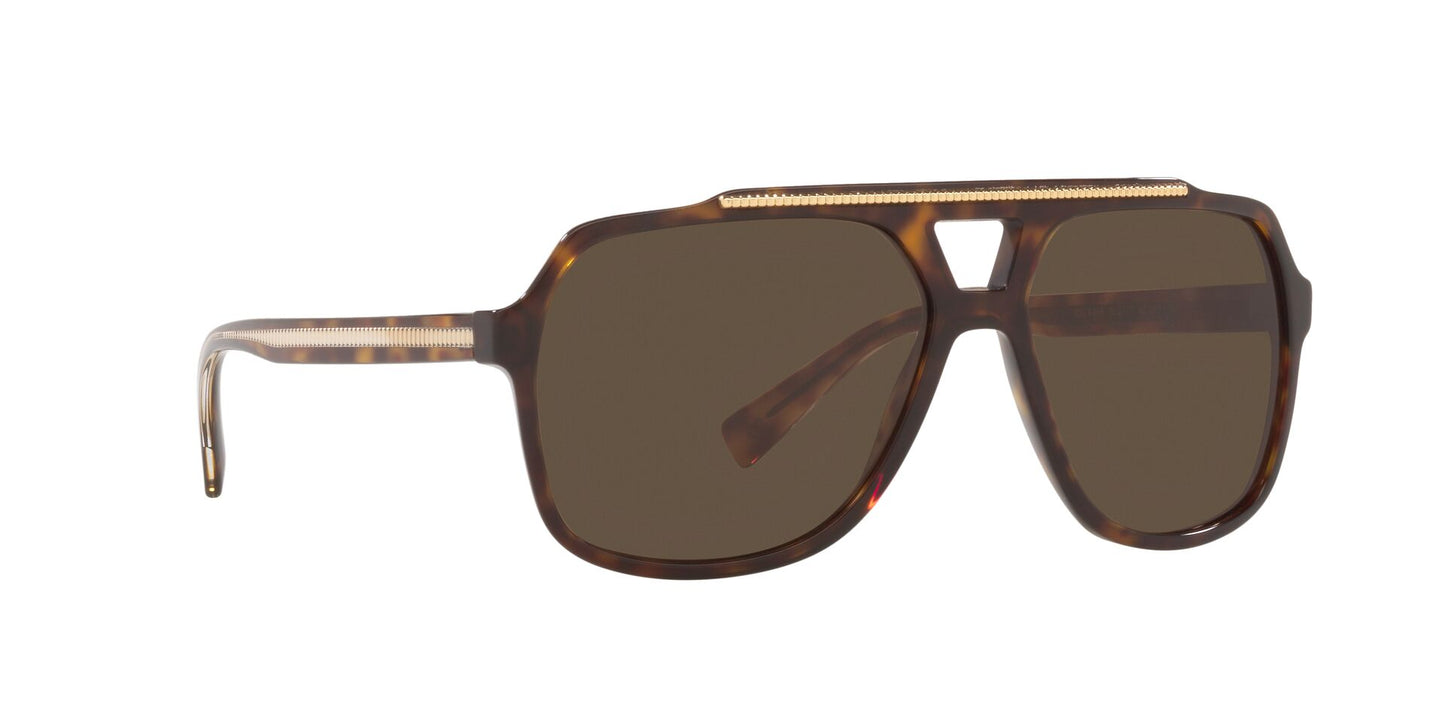 Lentes de Sol Dolce Gabbana DG4388 Havana-Ópticas LUX, Ve Más Allá
