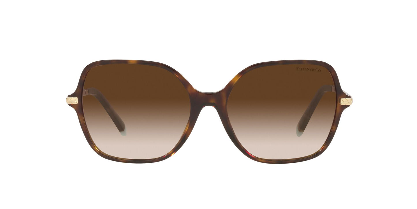 Lentes de Sol Tiffany TF4191 Havana