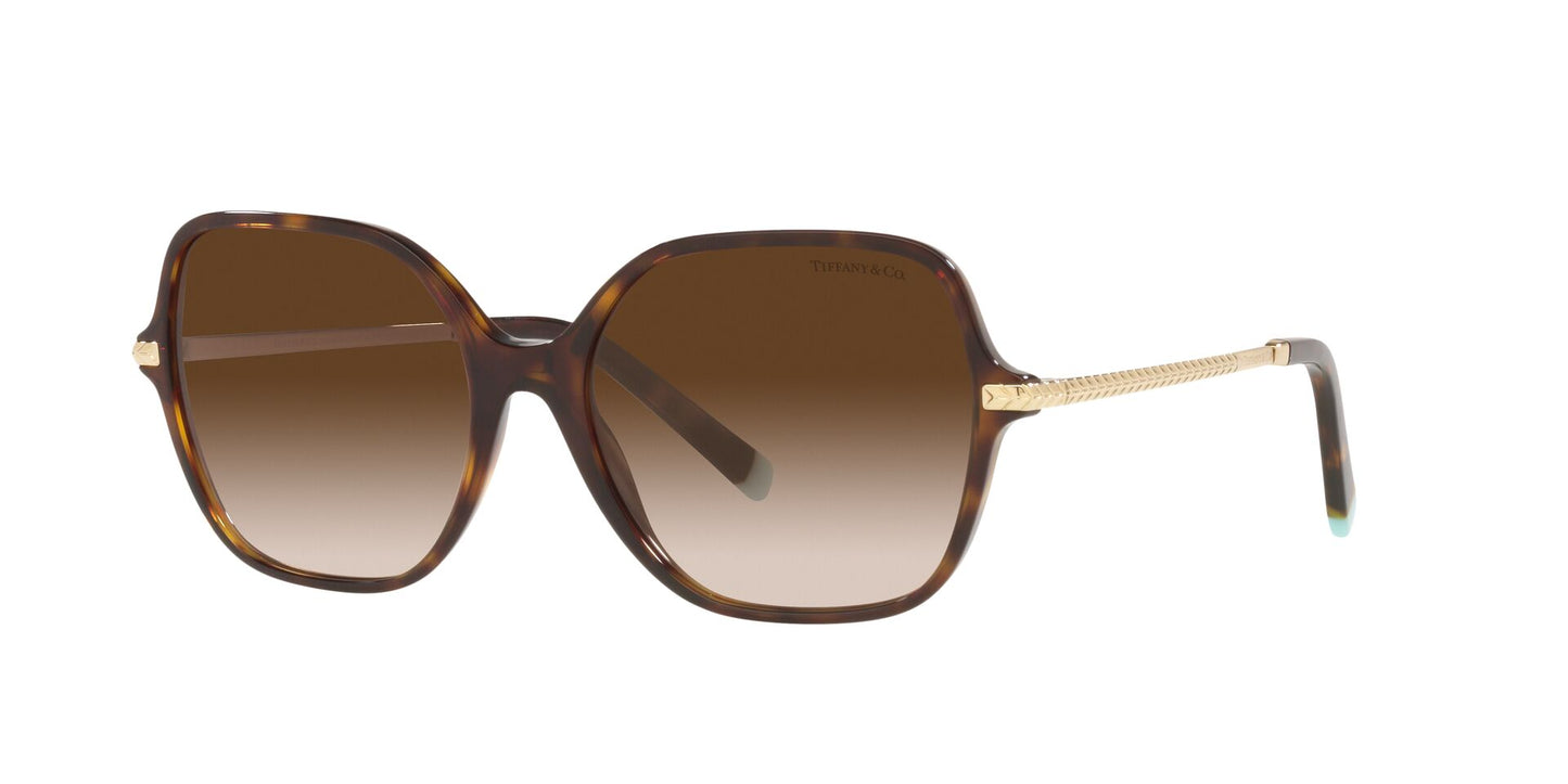 Lentes de Sol Tiffany TF4191 Havana