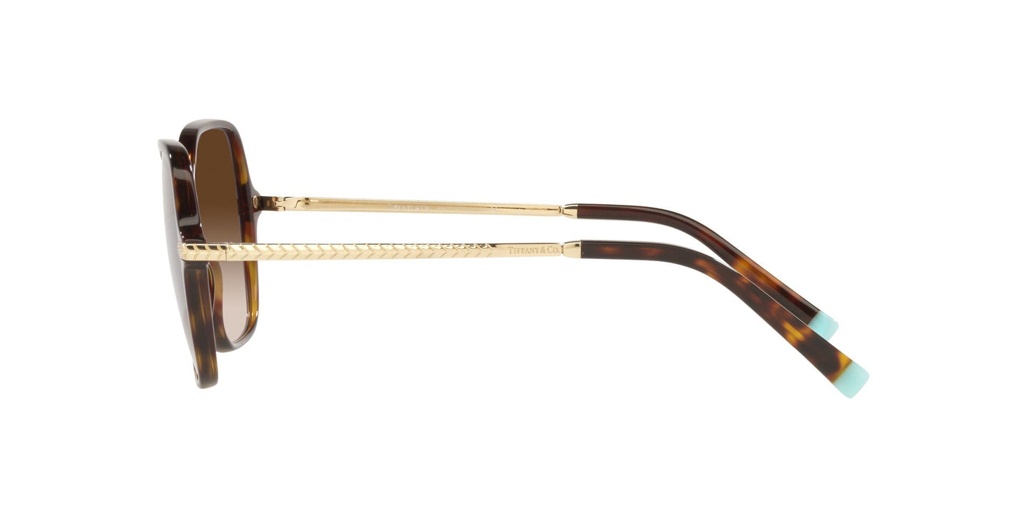 Lentes de Sol Tiffany TF4191 Havana