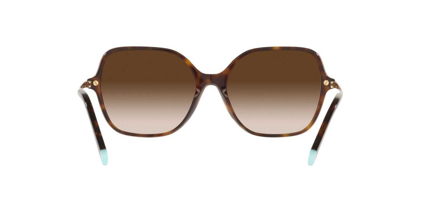 Lentes de Sol Tiffany TF4191 Havana