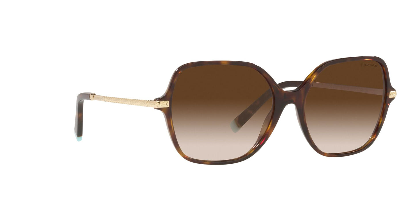 Lentes de Sol Tiffany TF4191 Havana