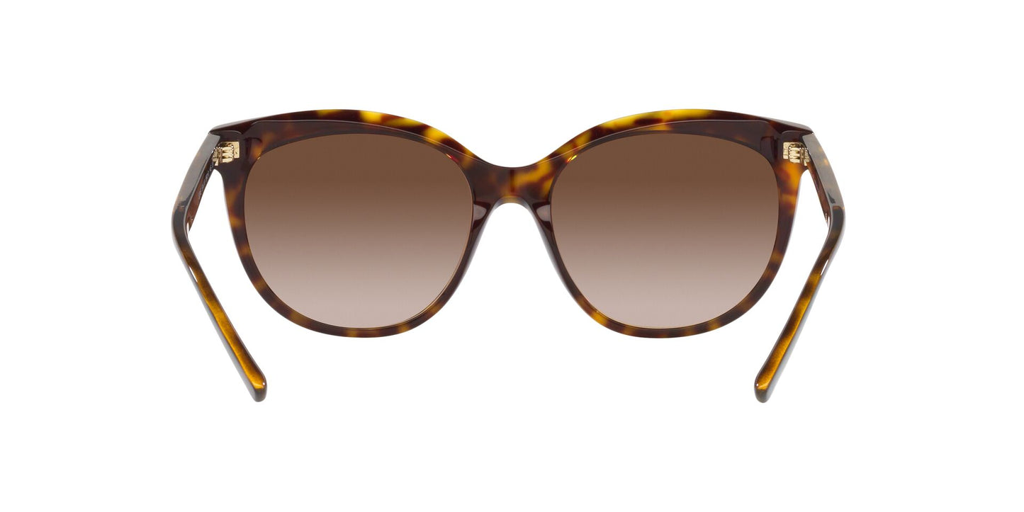 Lente Solar Bvlgari BV8249 Havana-Ópticas LUX, Ve Más Allá