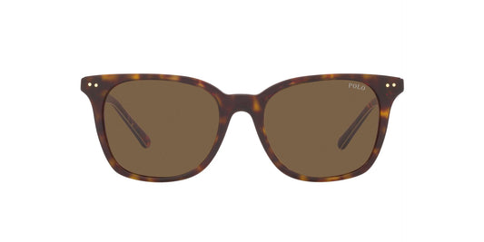 Lente Solar Polo Ralph PH4187 Havana-Ópticas LUX, Ve Más Allá