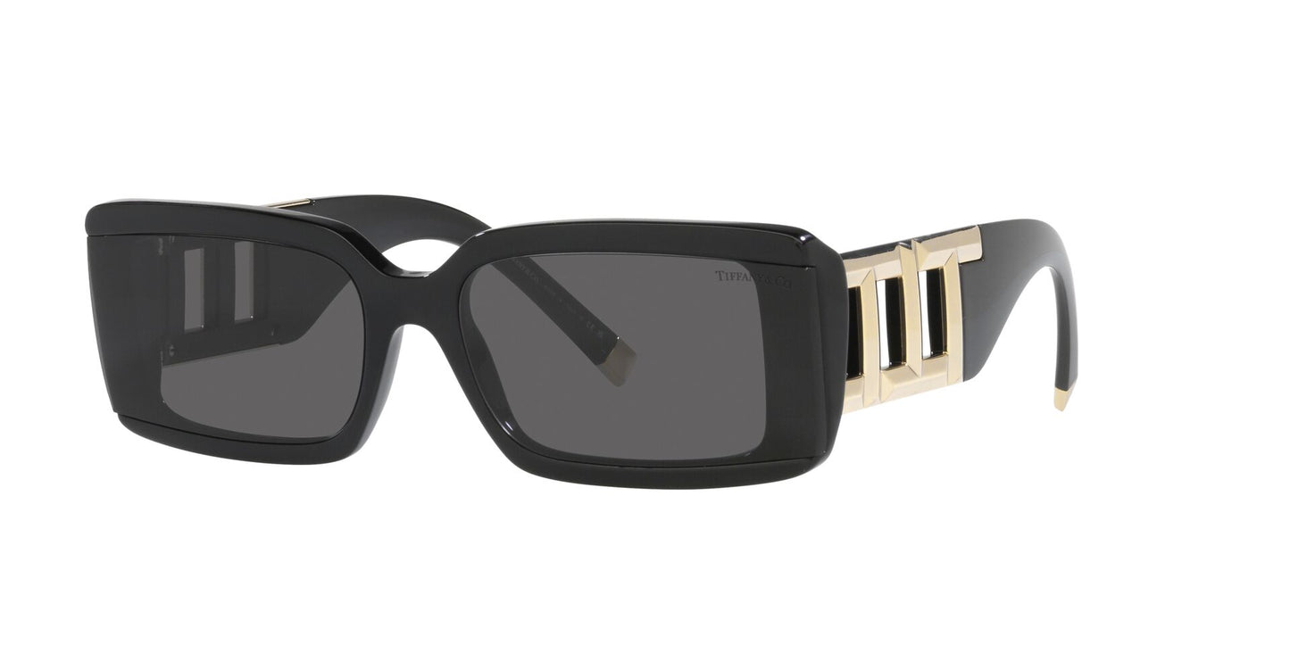 Lentes de Sol Tiffany TF4197 Negro