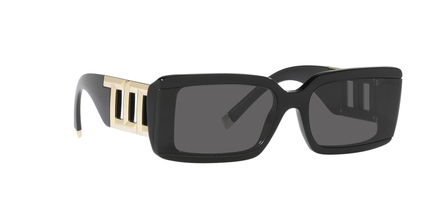 Lentes de Sol Tiffany TF4197 Negro