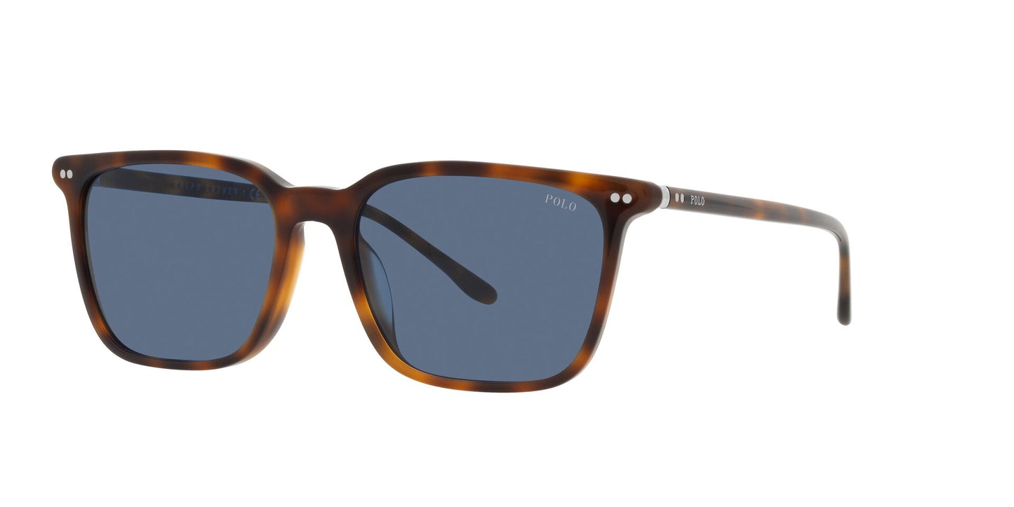 Lentes de Sol Polo Ralph PH4194U Havana