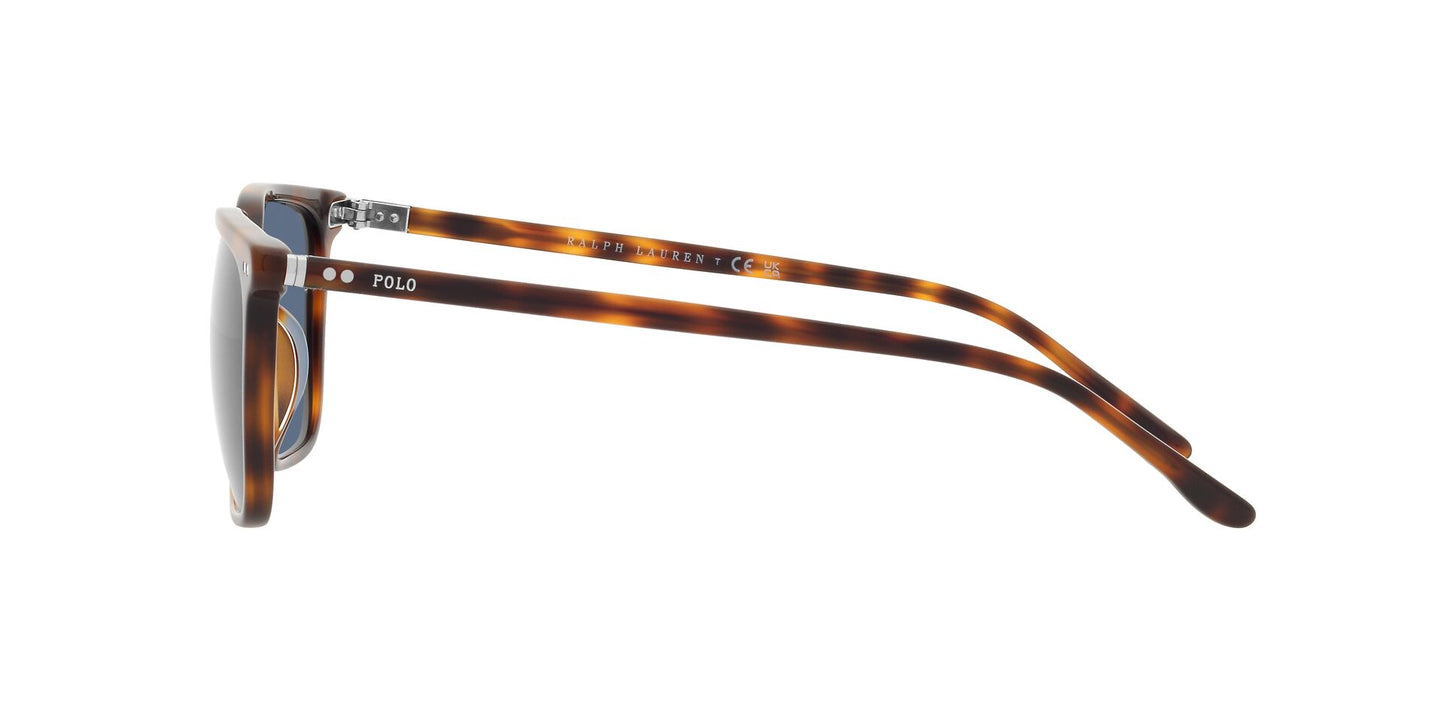 Lentes de Sol Polo Ralph PH4194U Havana