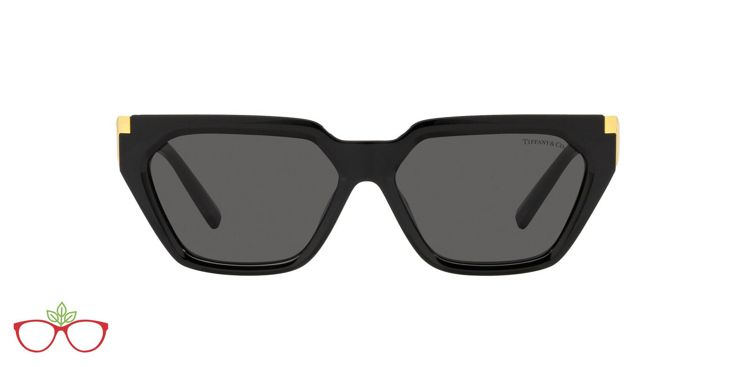 Lentes de Sol Tiffany TF4205U Negro