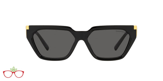 Lentes de Sol Tiffany TF4205U Negro