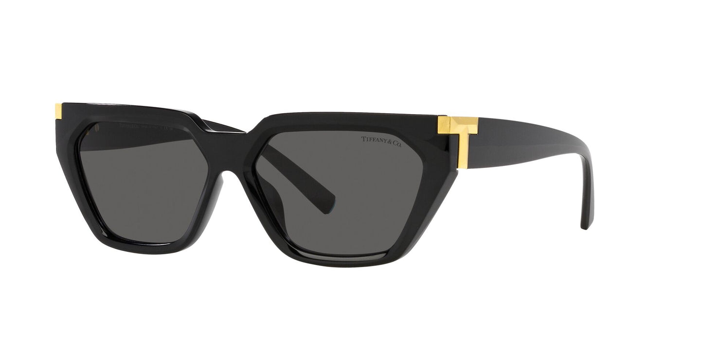 Lentes de Sol Tiffany TF4205U Negro