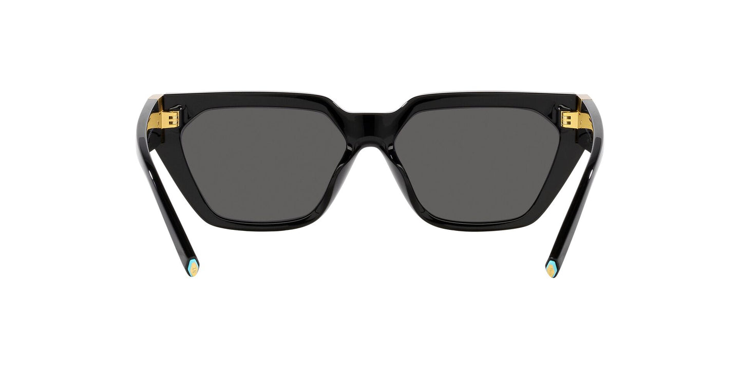 Lentes de Sol Tiffany TF4205U Negro