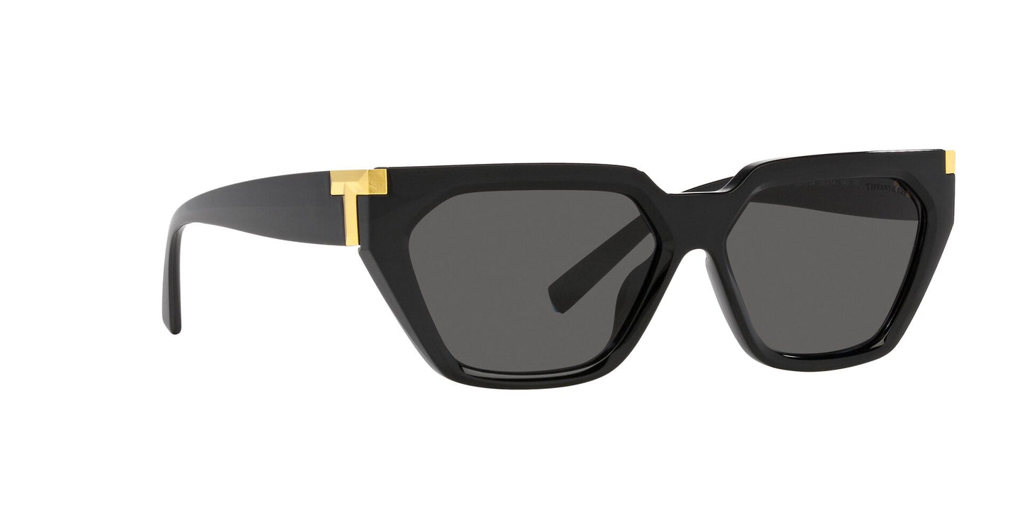 Lentes de Sol Tiffany TF4205U Negro