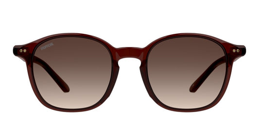 Lentes de Sol Unofficial UO6161 Café