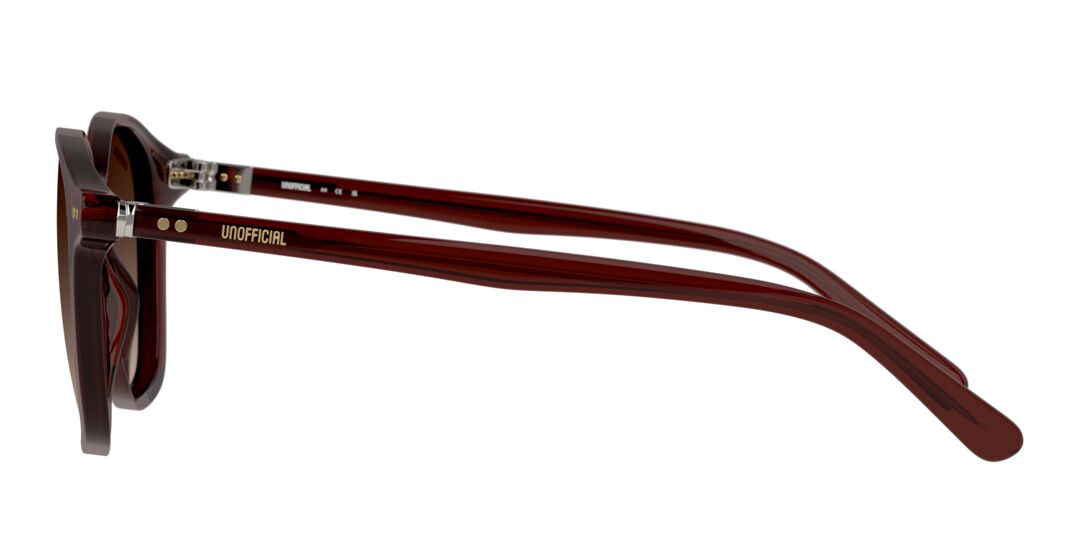 Lentes de Sol Unofficial UO6161 Café