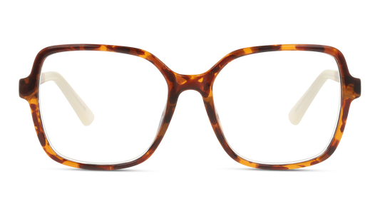 Lente Oftálmico Blue Light Privé Revaux THEBAILEY Havana-Ópticas LUX, Ve Más Allá