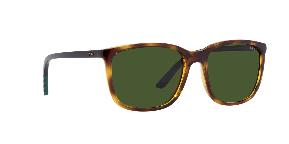 Lente Solar Polo Ralph PH4185U Havana-Ópticas LUX, Ve Más Allá